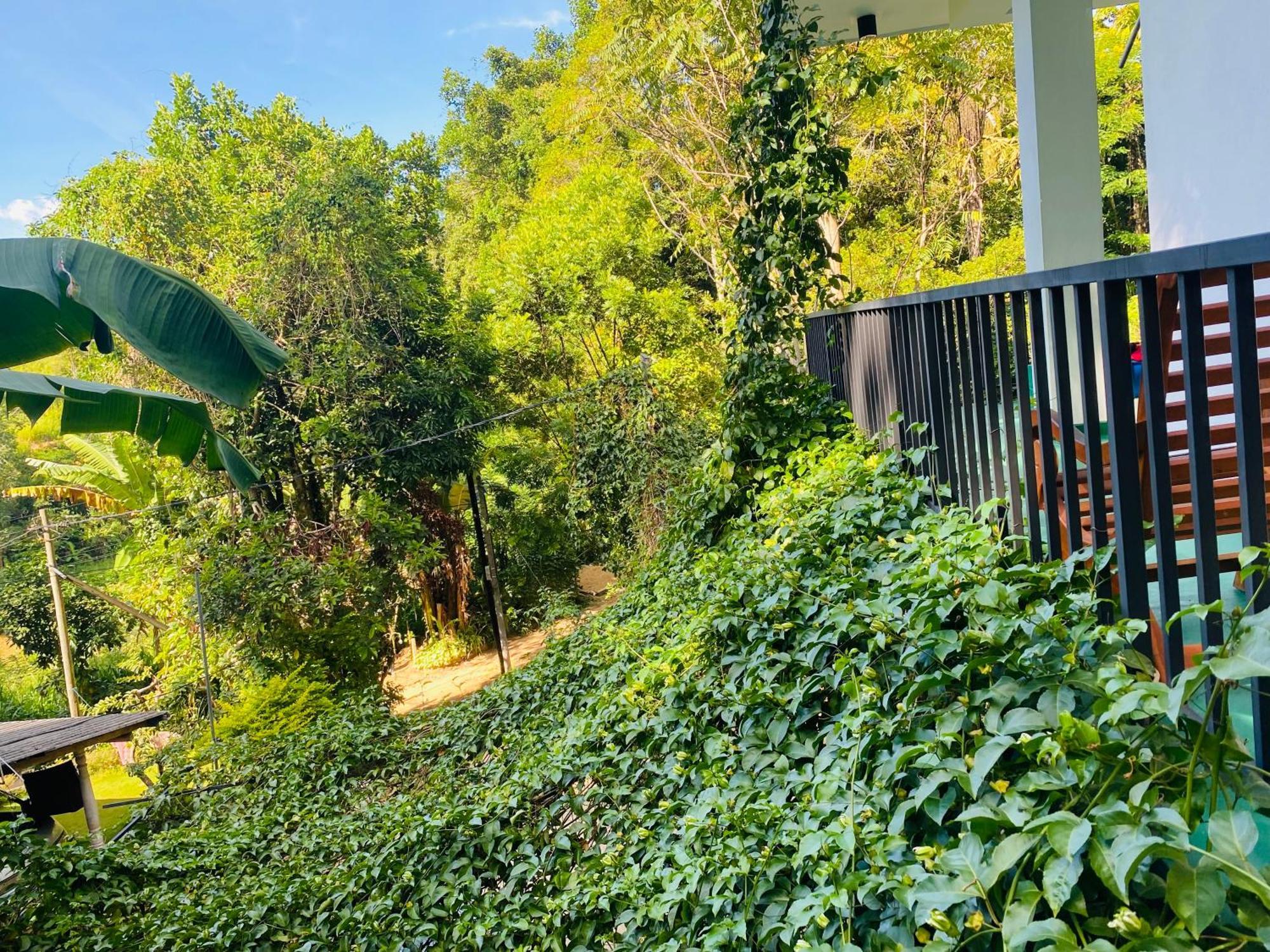 Misty Elegance - Ella. Otel Dış mekan fotoğraf
