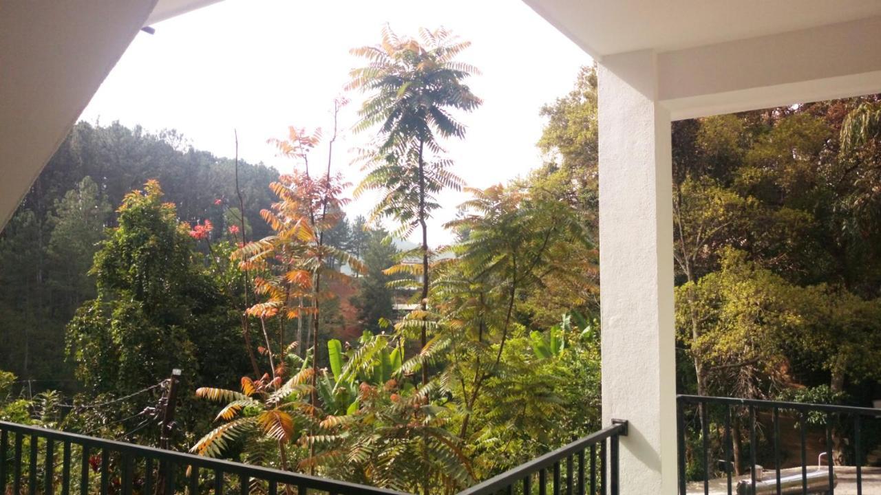 Misty Elegance - Ella. Otel Dış mekan fotoğraf