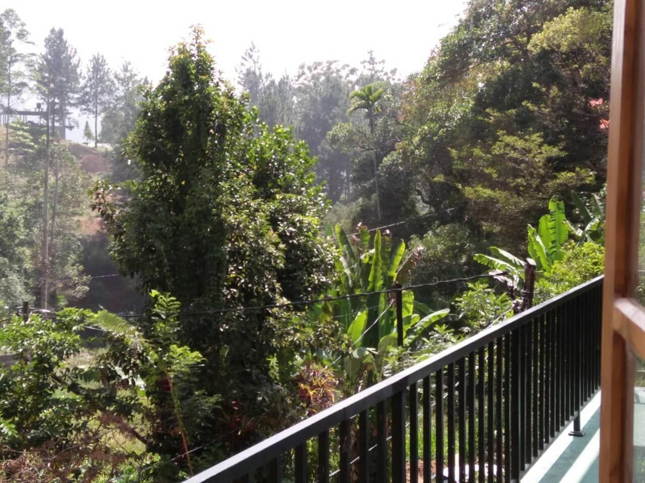 Misty Elegance - Ella. Otel Dış mekan fotoğraf